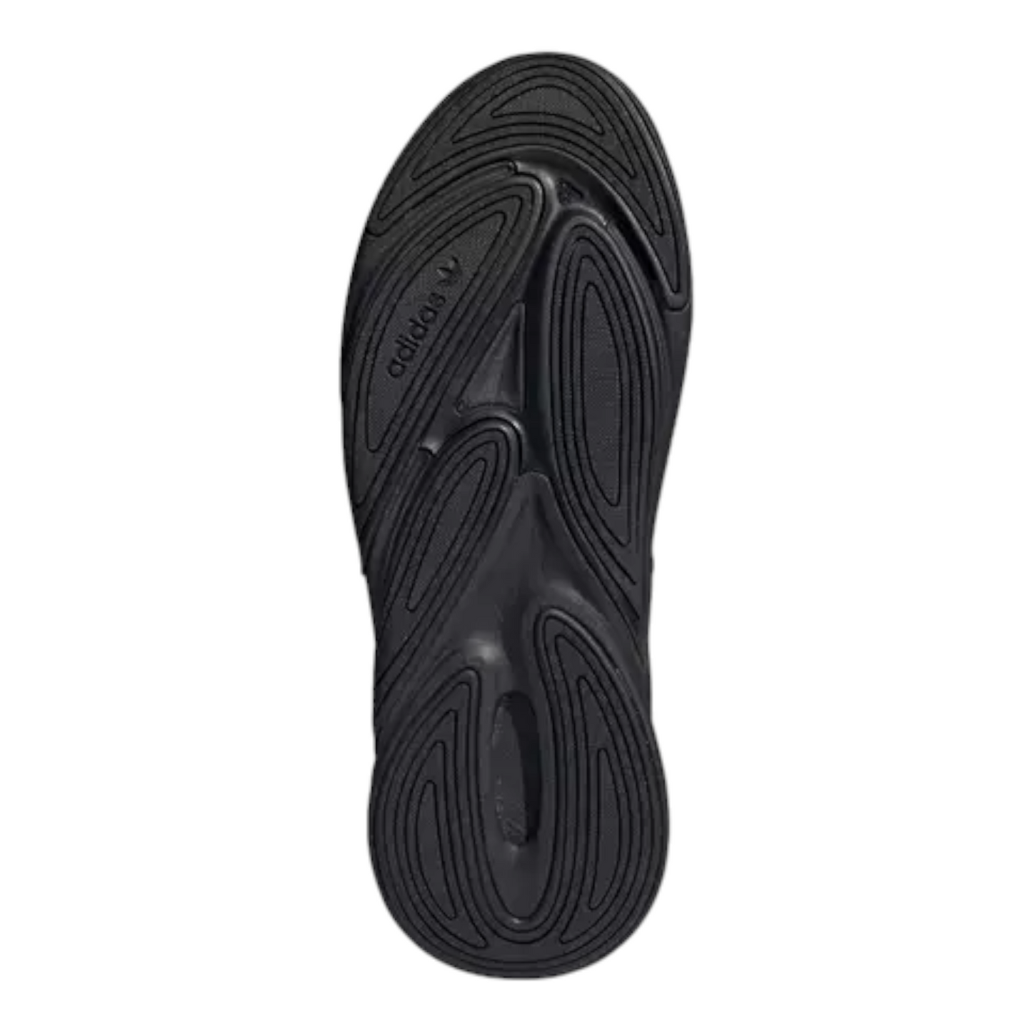 Ozelia 'Core Black'