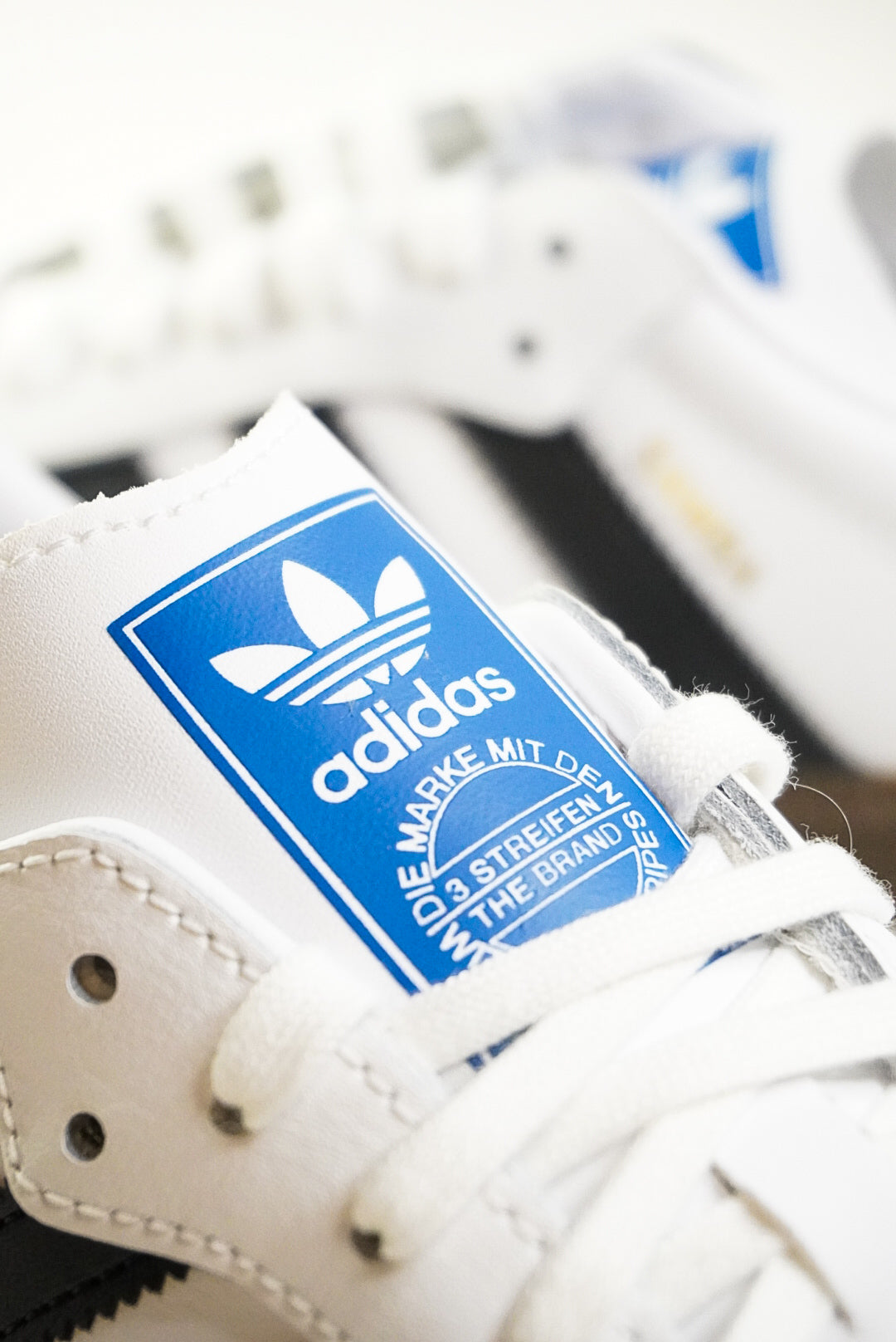 Samba 'White'
