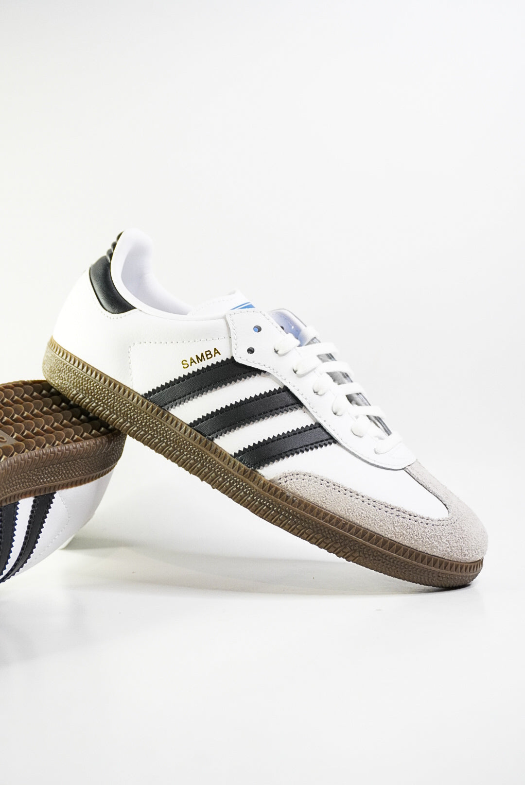 Samba 'White'